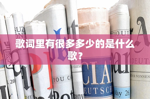 歌词里有很多多少的是什么歌？