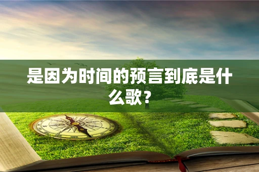 是因为时间的预言到底是什么歌？