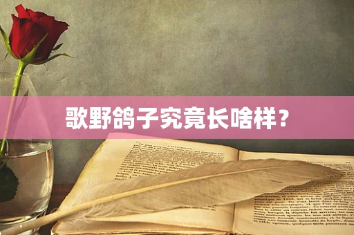 歌野鸽子究竟长啥样？