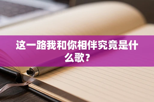 这一路我和你相伴究竟是什么歌？