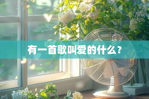 有一首歌叫爱的什么？