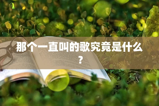 那个一直叫的歌究竟是什么？