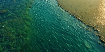 越南中国江连江出自哪首歌？