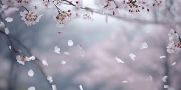 再难也要笑着面对究竟是哪首歌？