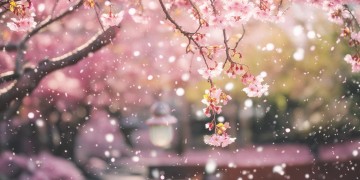 祝福你幸福到永久究竟是哪首歌？