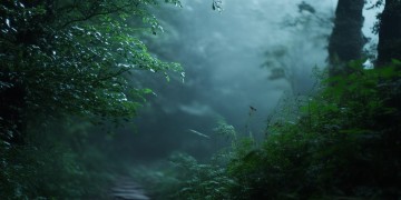 没人问我可有伞出自哪首歌？