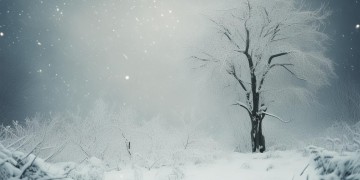 包含半生风雪的歌究竟叫什么？