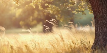 时光流逝的很自然究竟是哪首歌？