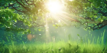 太阳的鸭绿究竟是哪首歌？