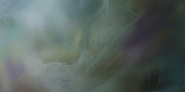 别说你很委屈出自哪首歌？