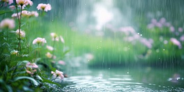 春雨细流淌出自哪首歌？