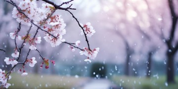 都说情劫难渡到底是哪首歌？