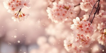 就是爱你和哪首歌相似？