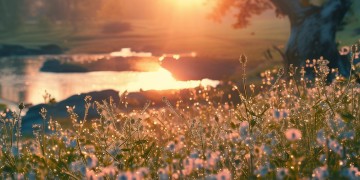 夏至未至我放弃度过难关究竟是哪首歌？