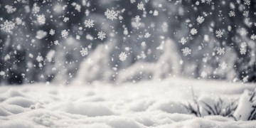 雪花的飘落究竟是哪首歌？
