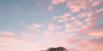 靠自己撑起的天空这句歌词出自什么歌？