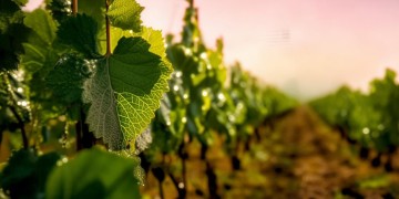 记住每一滴汗水出自哪首歌？