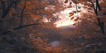 无法承诺的余生出自哪首歌？