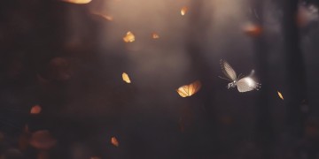 人生每一次的蛰伏出自哪首歌？