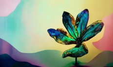 为何千年不褪色究竟出自哪首歌？