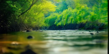 遗忘遗忘都已忘究竟是什么歌？