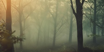 谁不想呼风唤雨出自哪首歌？