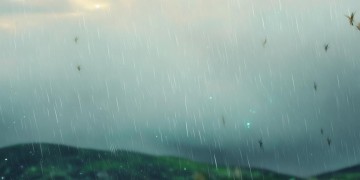 延绵起伏的雨究竟出自哪首歌？