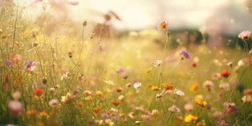 偶尔也想找点快乐究竟是哪首歌？