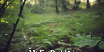 霉霉的we run是哪首歌？