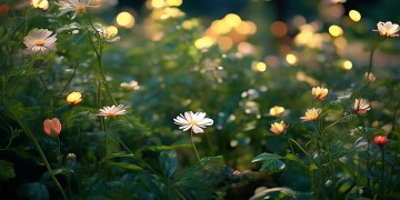 落入心田的声音究竟是哪首歌？