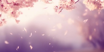 不算什么这句歌词出自哪首歌？