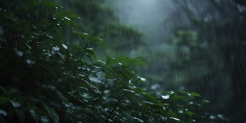 风萧萧啊雨绵绵究竟是哪首歌？