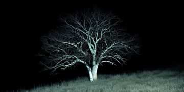 黑夜里孤独是哪首歌？