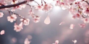 到了你还有什么可惜，这是哪首歌？