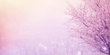 聚散怎在一刹那究竟是哪首歌？