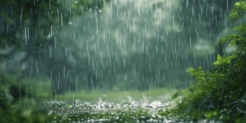 淅沥淅沥是哪首歌？