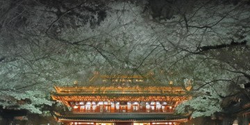 走心动感神曲究竟是哪首歌？
