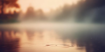 二十年前的心情到底是哪首歌？