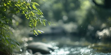 我只能努力变强出自哪首歌？