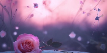 爱你短短一瞬间究竟是哪首歌？