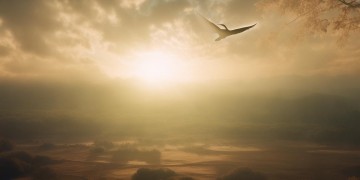 一曲大鹏歌究竟有何深意？