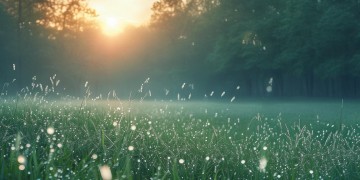 晨曦累了想休息了究竟是哪首歌？