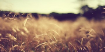 风吹过我的头发这句歌词出自哪首歌？