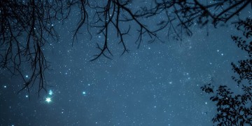 而我仰望星空出自哪首歌？