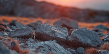 又那么倔强究竟出自哪首歌？