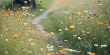 历尽千辛出自哪首歌？