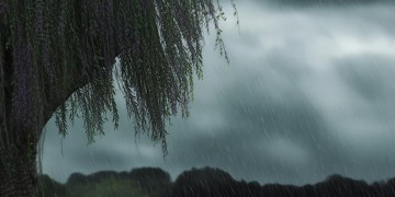 风雨叙悲情究竟是哪首歌？