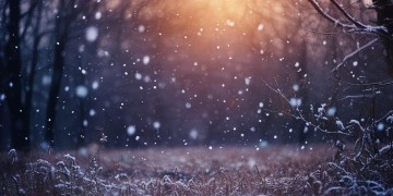 雪花飘落秋已去究竟是哪首歌？