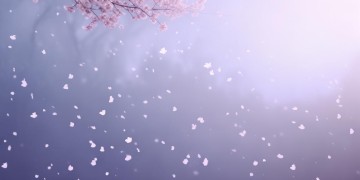 忧伤究竟是哪首歌的歌词？