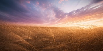 大风北风吹究竟是哪首歌？